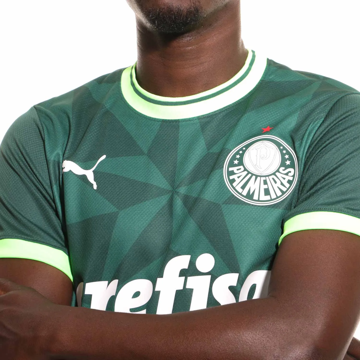 Camiseta Puma Palmeiras 2023