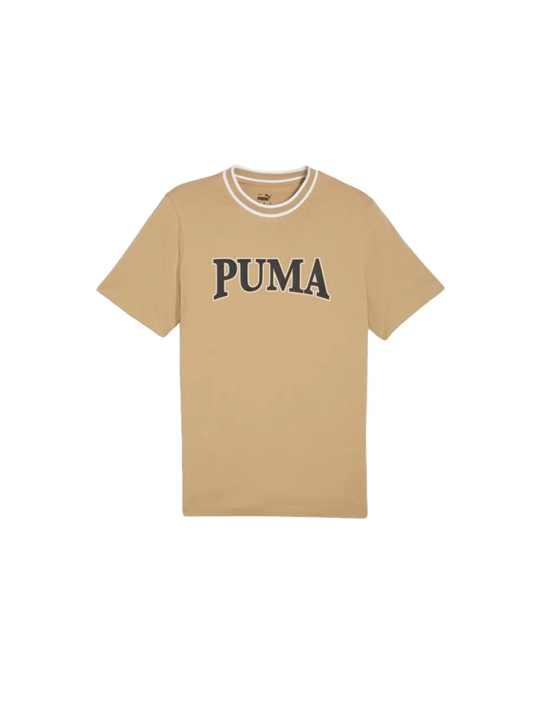 Camiseta Puma Squad Big Graphic Beige Hombre
