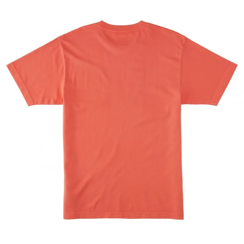DC SHOES DC STAR PIGMENT TEES ADYZT05374 MKZW