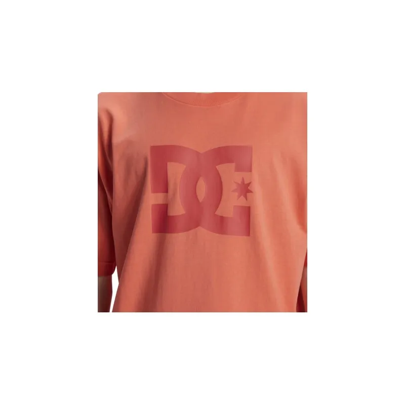 DC SHOES DC STAR PIGMENT TEES ADYZT05374 MKZW