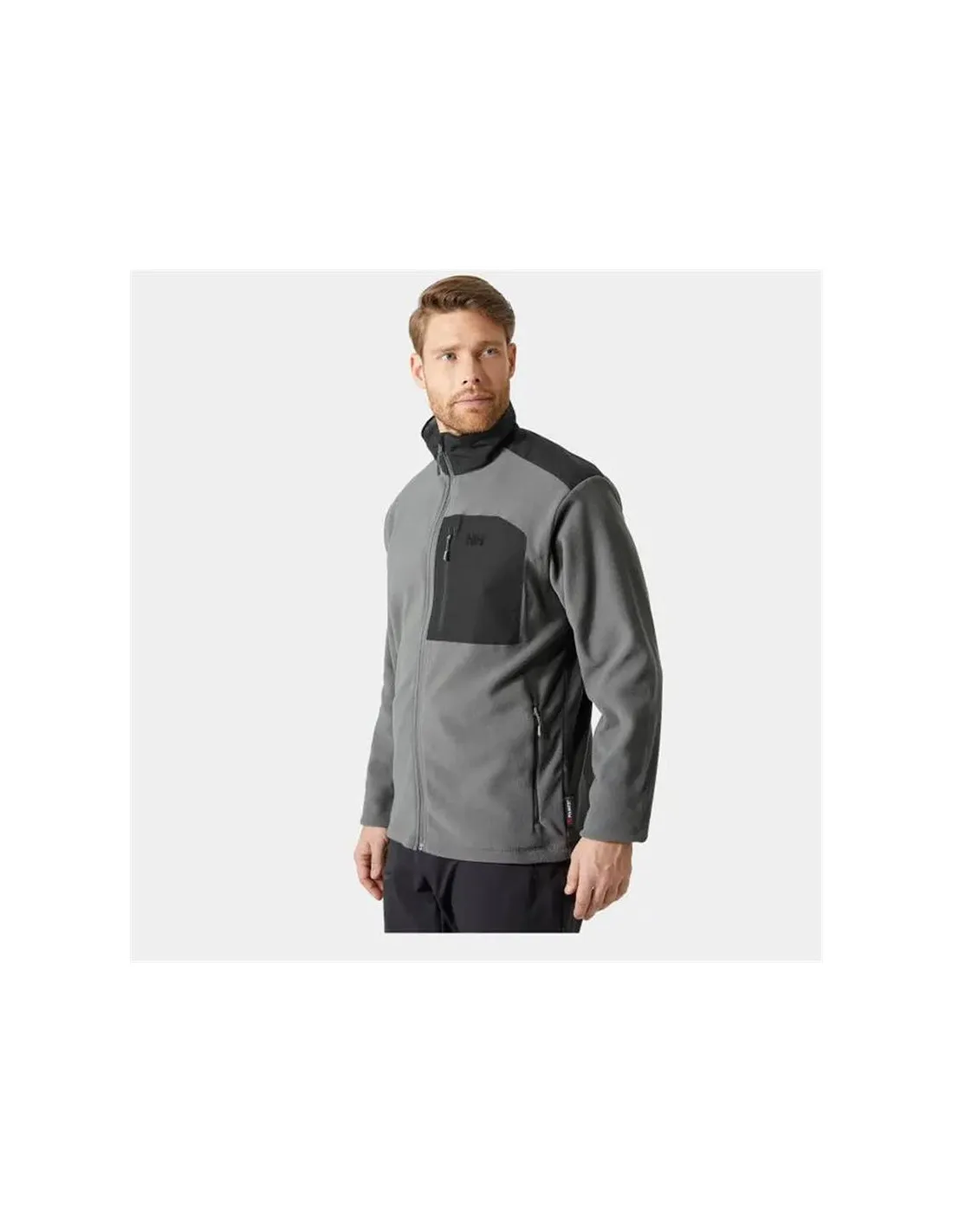 Forro polar de montaña Helly Hansen Daybreaker Blockc Gris Hombre