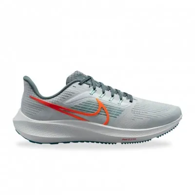 Nike Pegasus 39