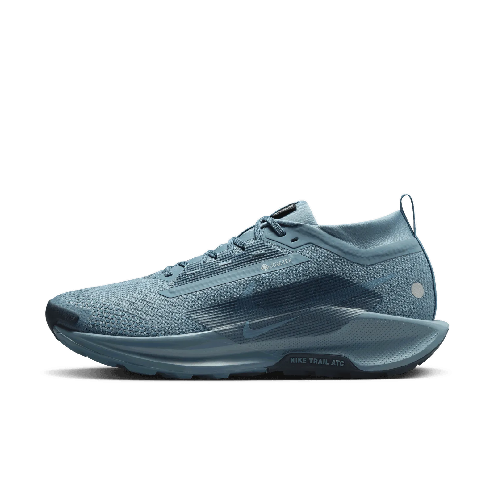 NIKE PEGASUS TRAIL 5 GORETEX