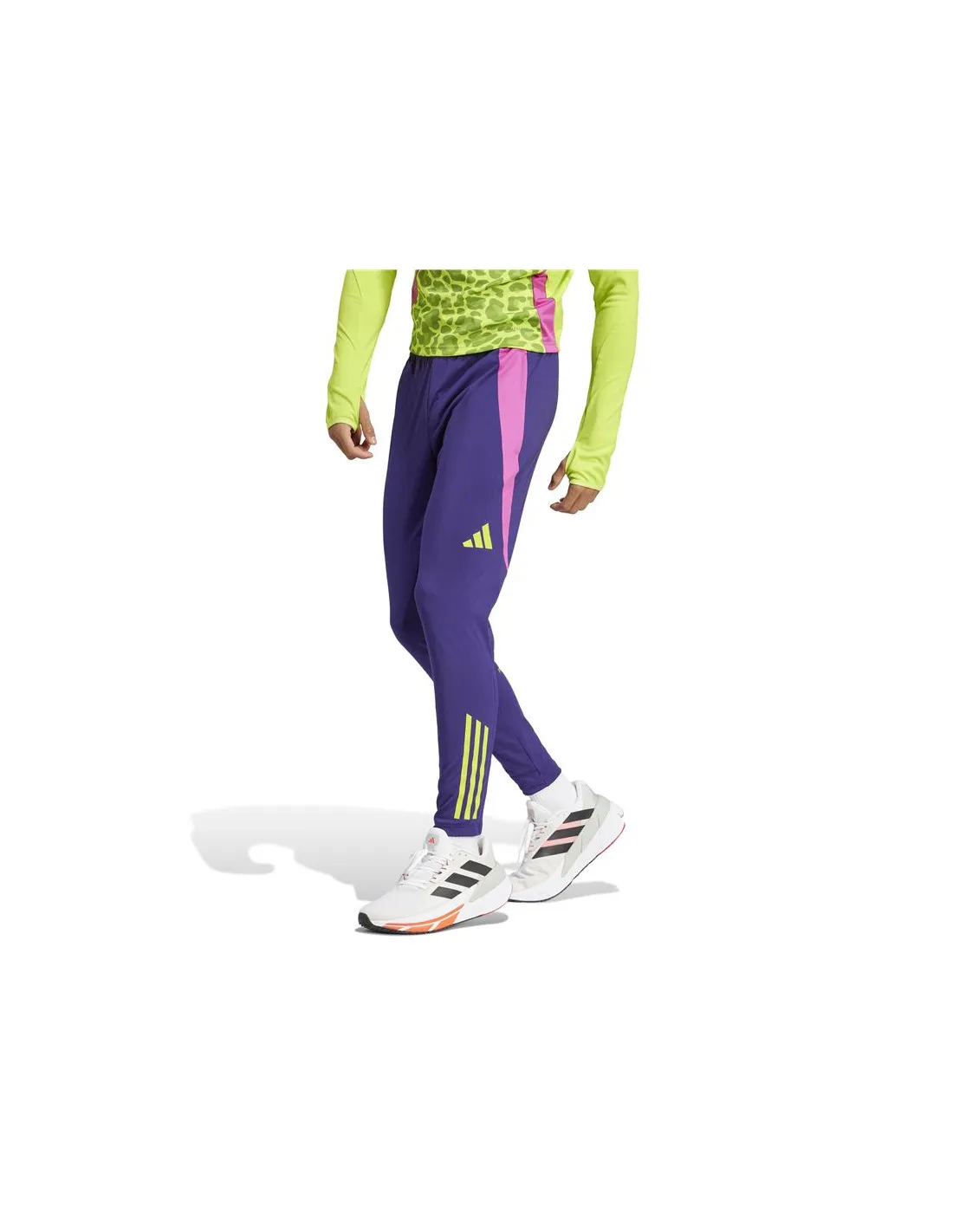 Pantalón de Fútbol adidas Predator Tr Hombre Morado