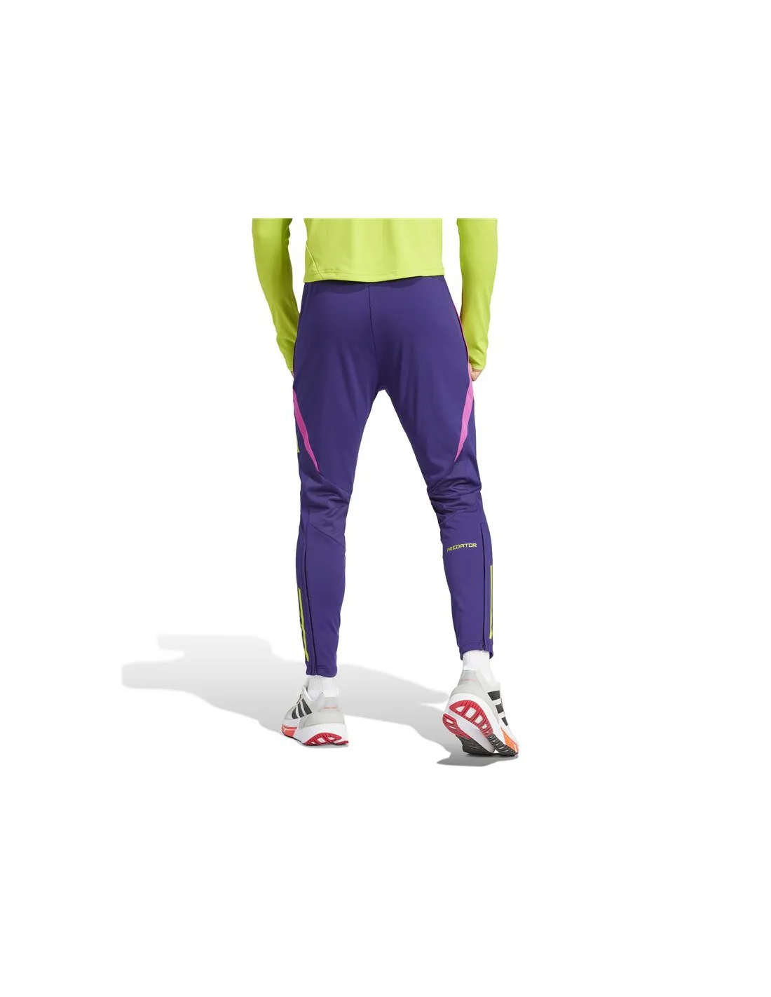 Pantalón de Fútbol adidas Predator Tr Hombre Morado