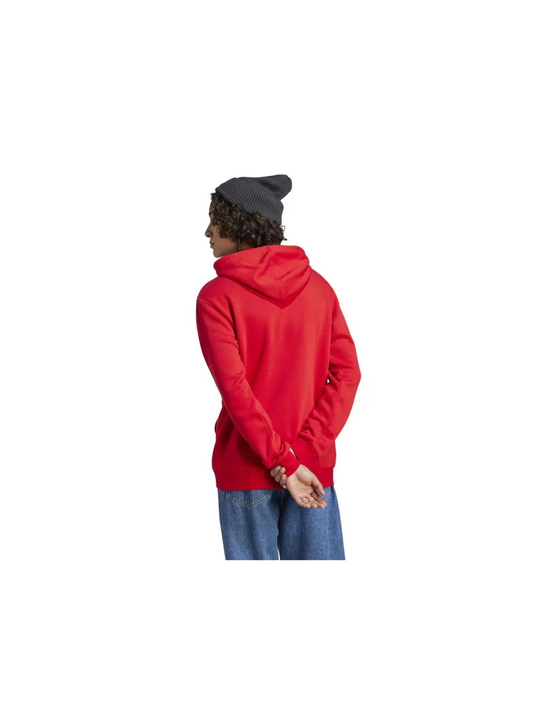 Sudadera adidas Bl Fl Hd Hombre