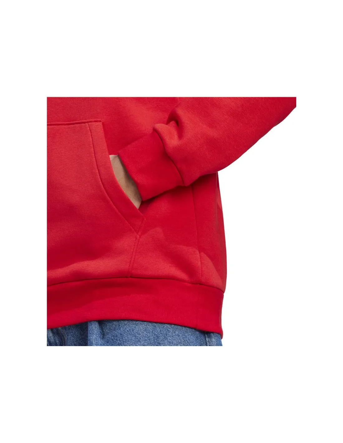 Sudadera adidas Bl Fl Hd Hombre