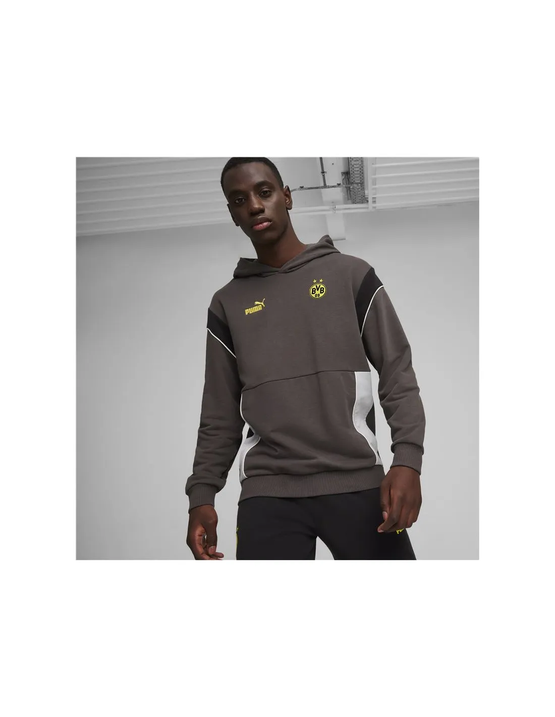 Sudadera de Fútbol Puma Borussia Dortmund Gris Hombre