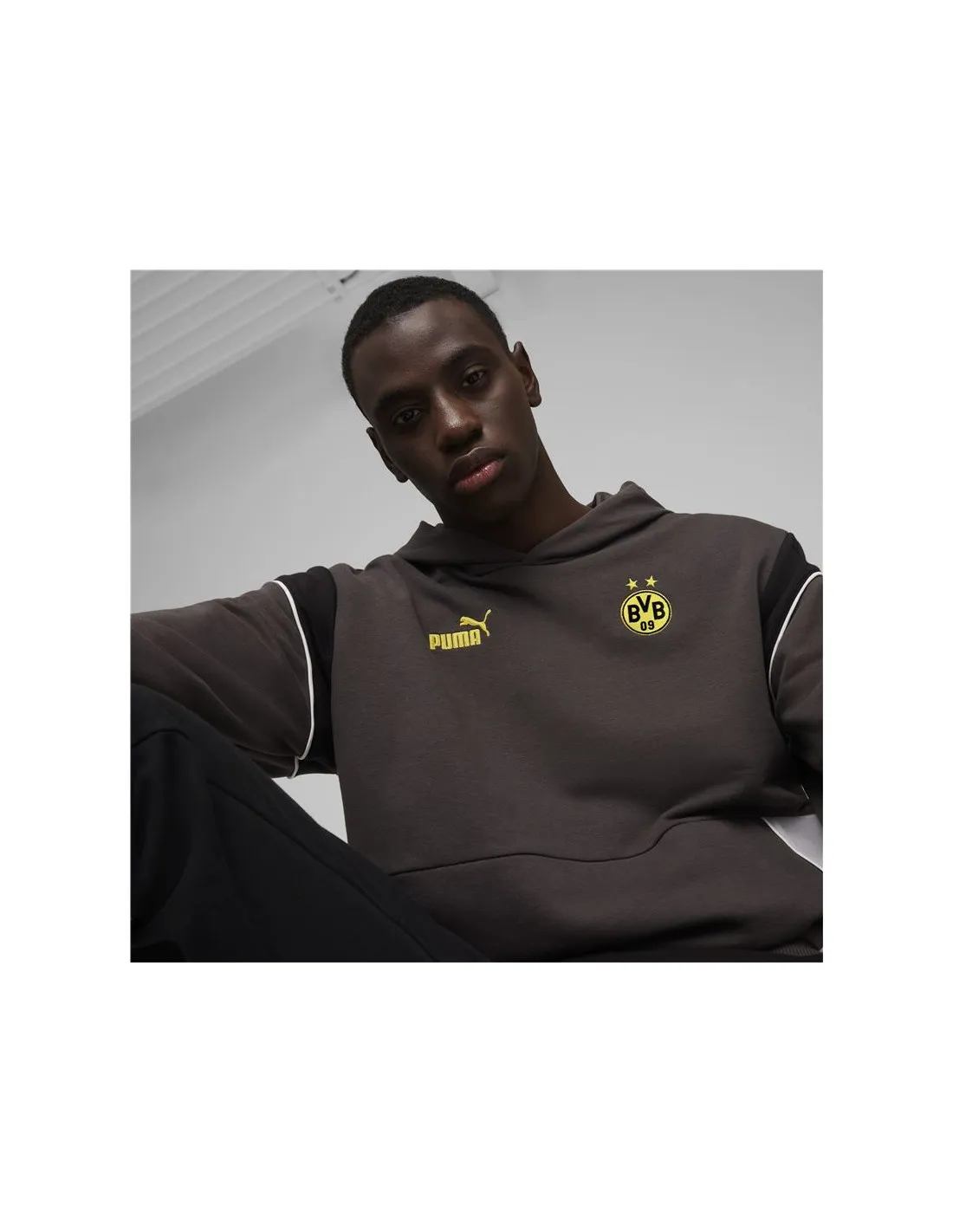 Sudadera de Fútbol Puma Borussia Dortmund Gris Hombre