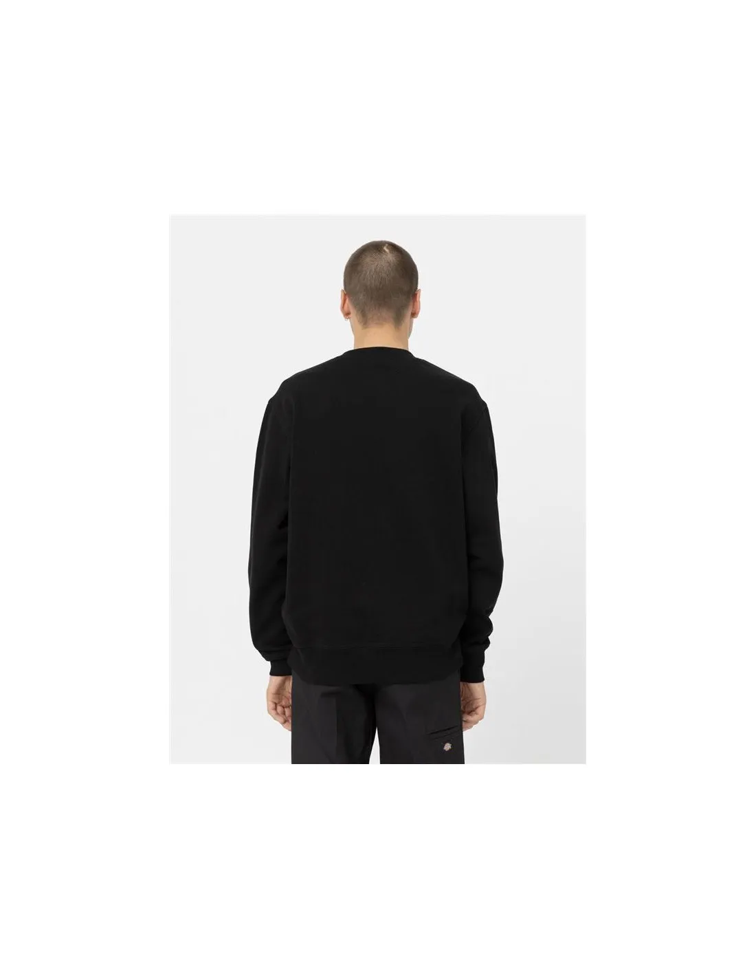Sudadera Dickies Oxford Hombre