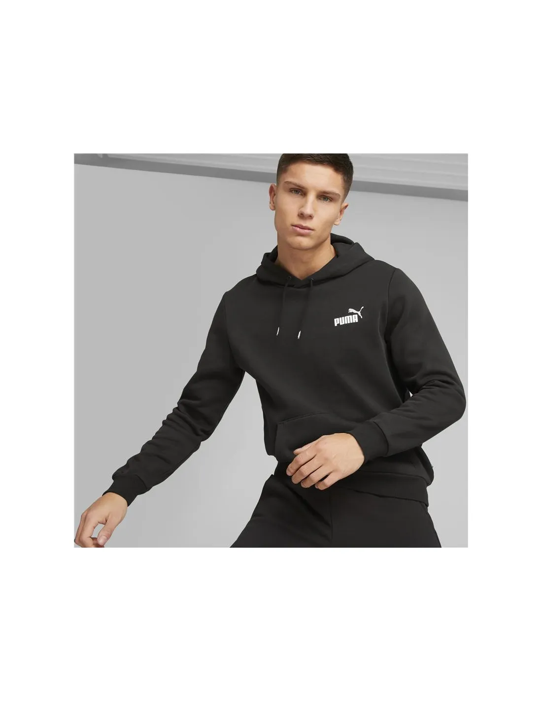 Sudadera Puma Ess+ 2 Col Small Log Hombre